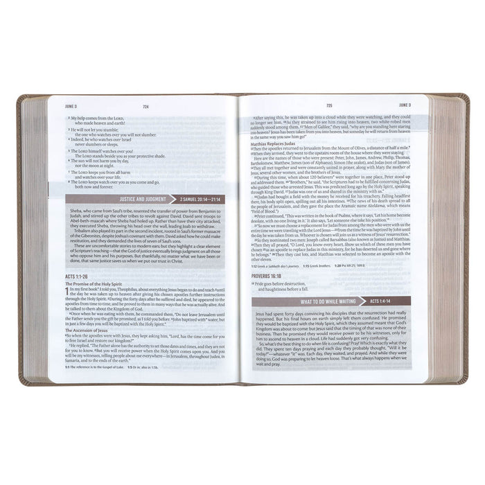 Devotional Bible Nlt For Men Faux Leather, Tan