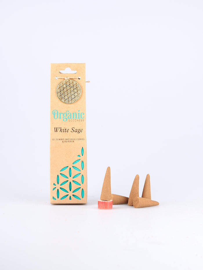 Organic Jumbo Cones White Sage | One Colour-Image 2