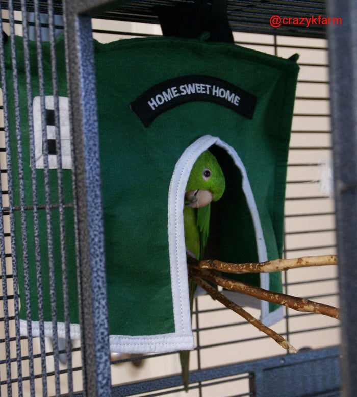 Parrot in Bird Cage Haven Hut - Cozy Home Sweet Home by Crazy K Farm Pet & Poultry. Bird Safety Guaranteed! #avianhaven #parrot