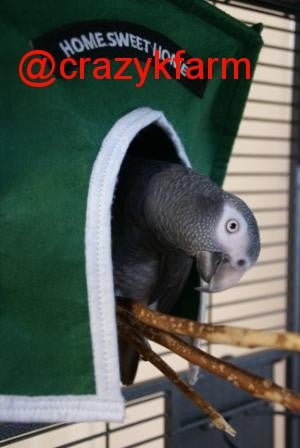 Avian Haven Hut for Pet Birds