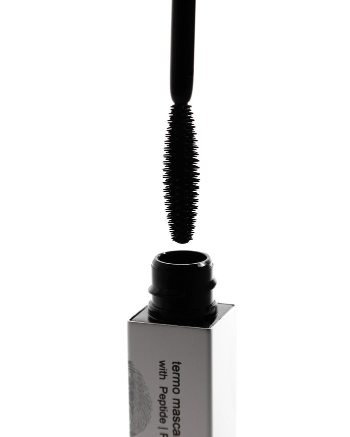 BLACK LASH & BROW MakeUp Kit