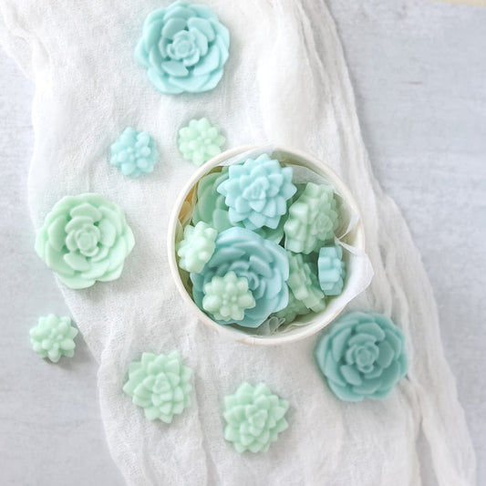Bloomulent Succulent Wax Melts - Refreshing Spring Aroma | Natural Coco Wax - Jarful House