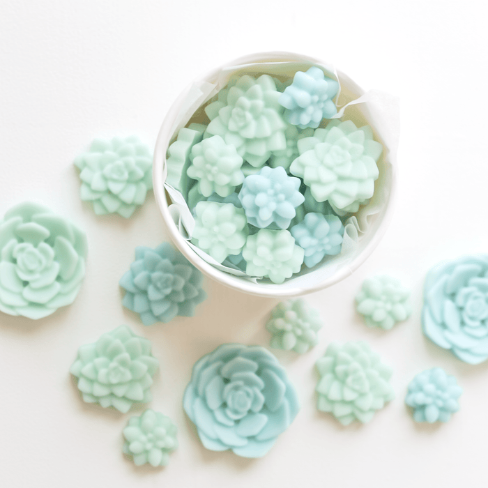 spring wax melts bloomulent