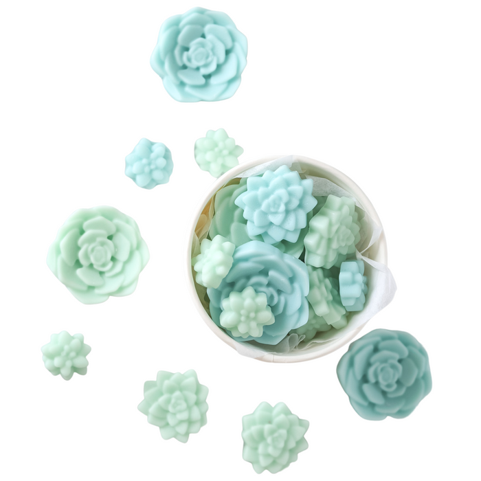 Bloomulent Succulent Wax Melts - Refreshing Spring Aroma | Natural Coco Wax - Jarful House