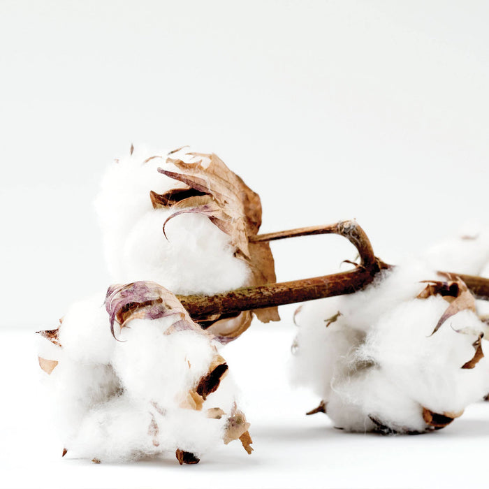 Bubble Bath-Seersucker-Sandalwood + Cotton 9oz