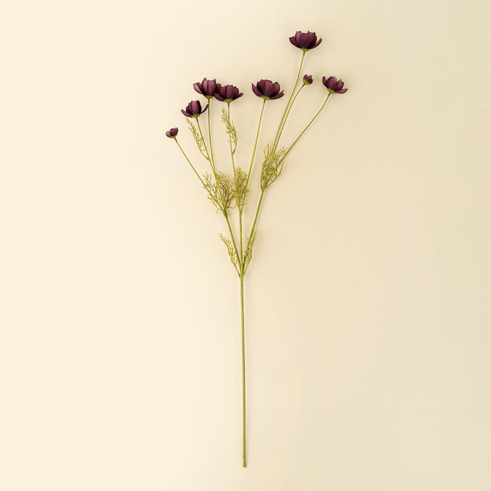 Calliopsis Spray