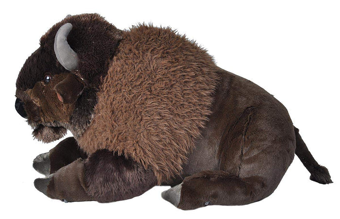 CK Jumbo Bison