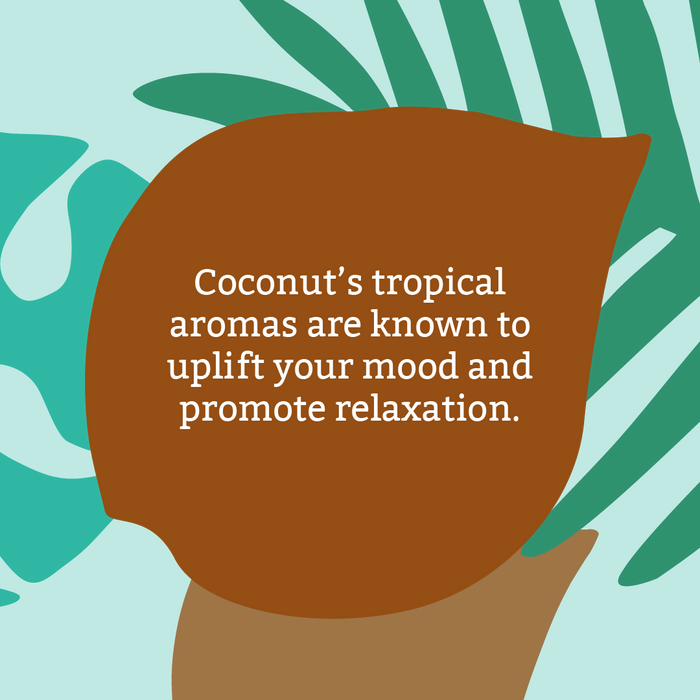 Coconut hand wash duo
