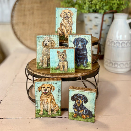 Dog Wood Portrait