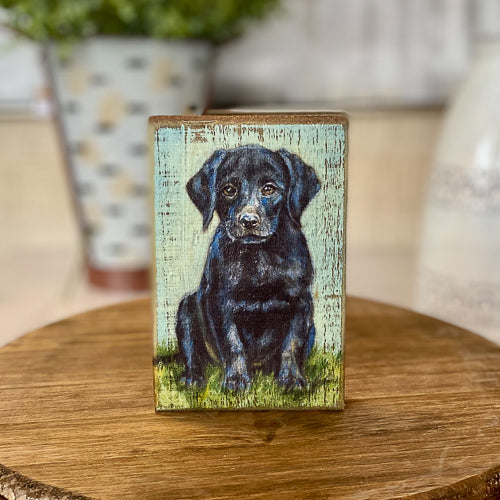 Dog Wood Portrait