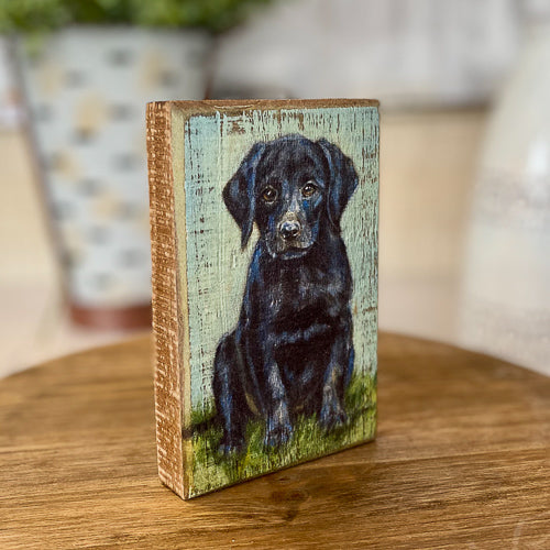 Dog Wood Portrait