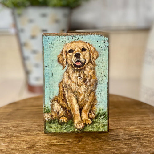 Dog Wood Portrait