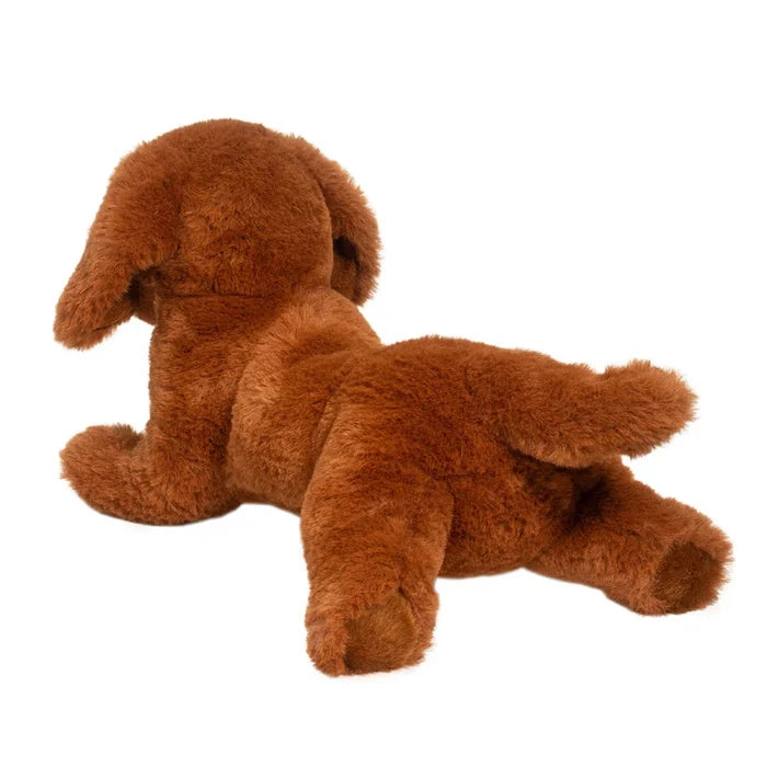 Douglas - Delanie Dachshund Soft