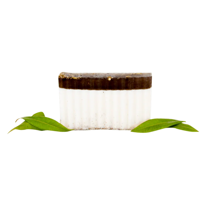 Fennel Myrtle Body Bar - Whitsunday Myrtle