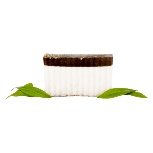 Fennel Myrtle Body Bar - Whitsunday Myrtle