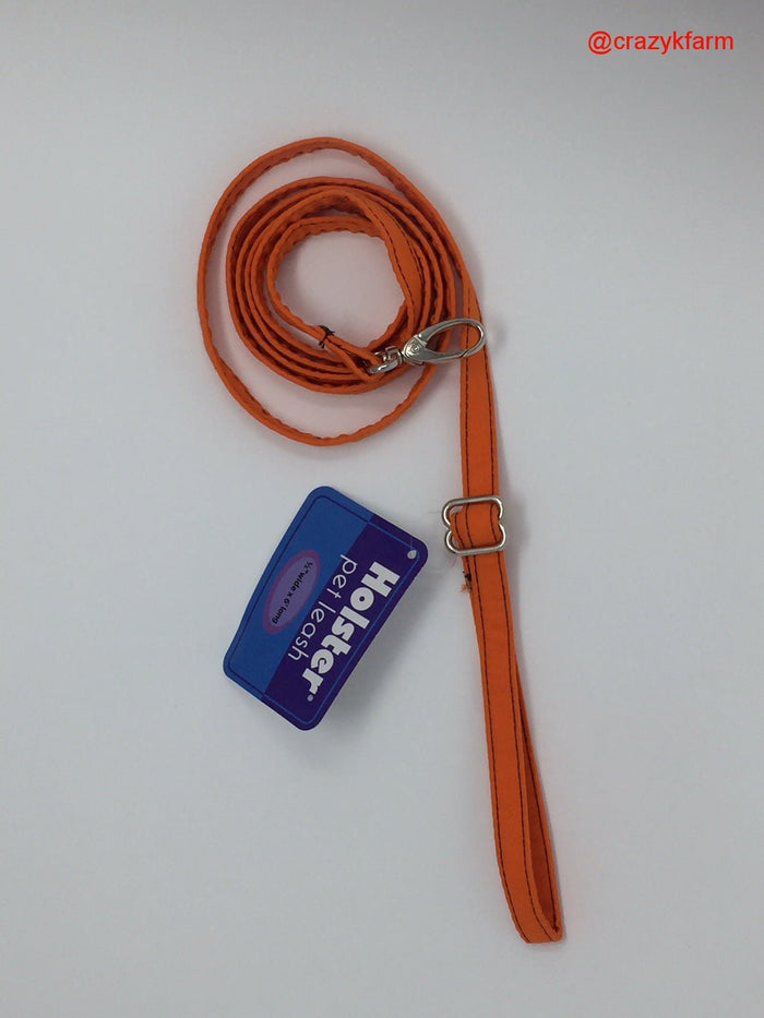 Outrageous Orange / 6'