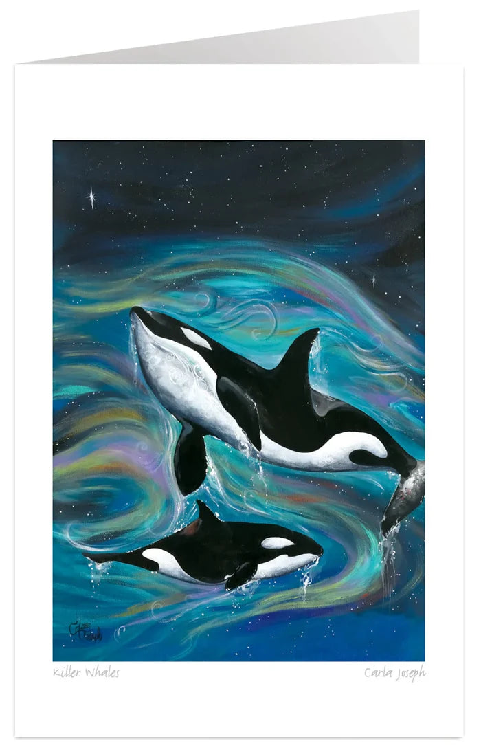 INDIGENOUSSticker | Killer Whale