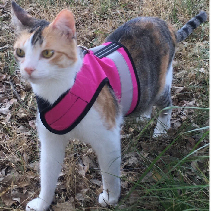 Kitty Holster Custom Cat Harness (Reflective Safety Vest) Flamingo Pink Small Medium