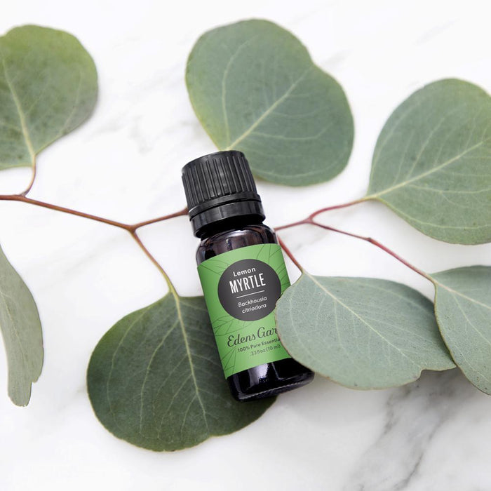 Myrtle- Lemon Essential Oil