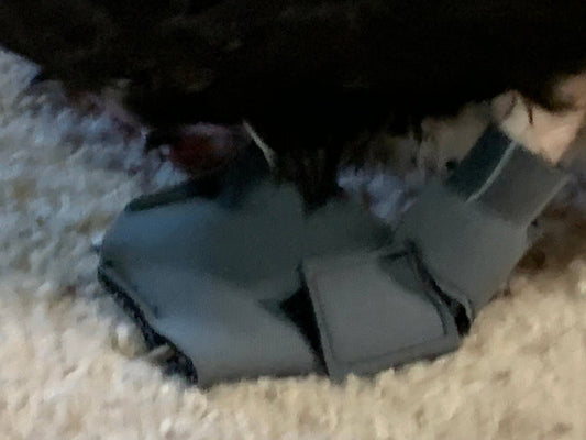 Replacement Leg Bands for Birdy Booties (Pair)