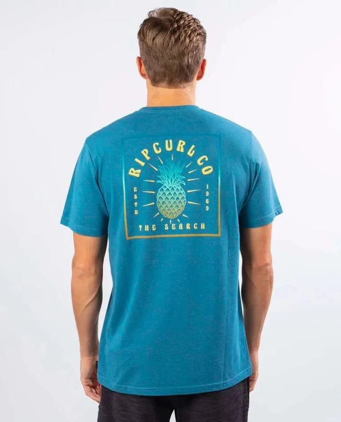 Rip Curl Mens Pina Express MTW Tee