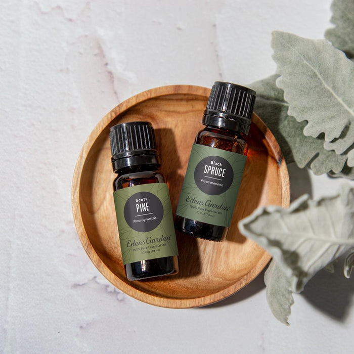 Spruce- Black Essential Oil