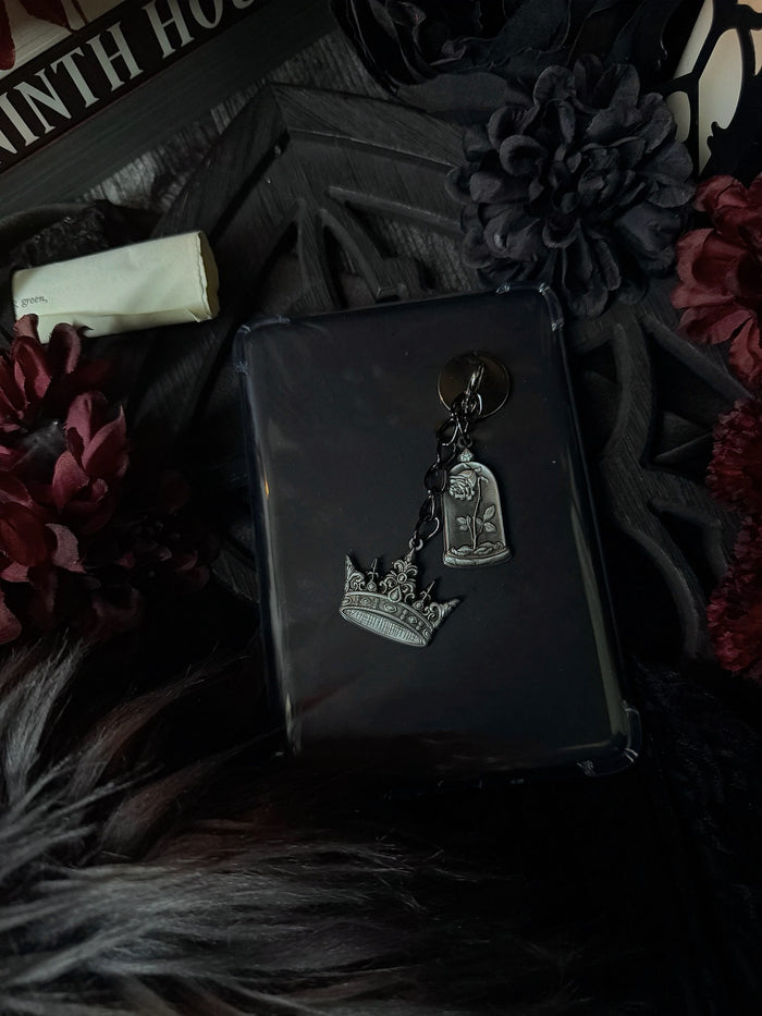 Summoning E-Reader Charm