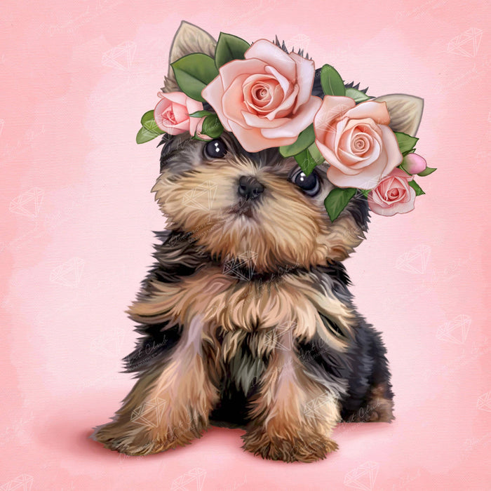 Yorkie & Roses - Diamond Art Club DIY Kit