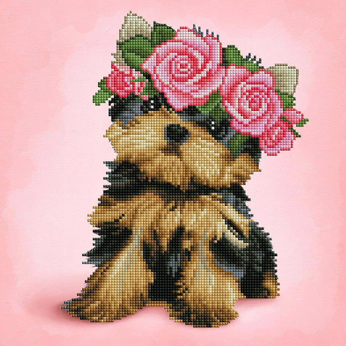 Yorkie & Roses - Diamond Art Club DIY Kit